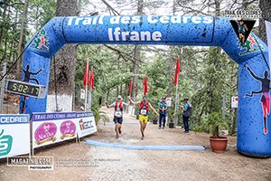 Trail des cèdres 2024